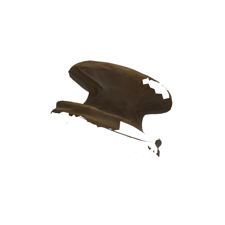 Нога од сад